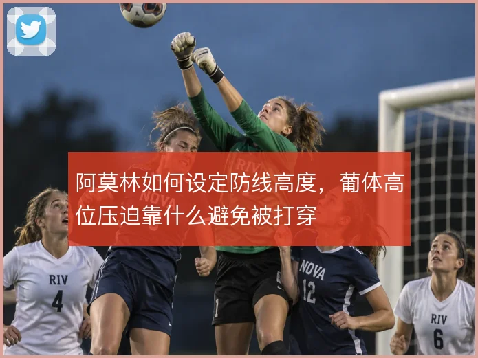 阿莫林如何设定防线高度，葡体高位压迫靠什么避免被打穿